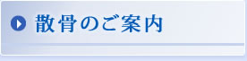 散骨のご案内