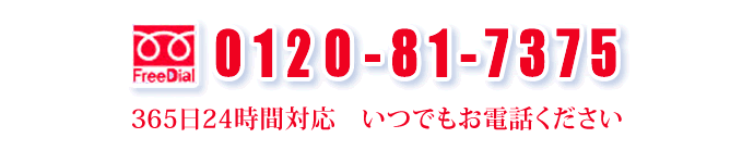 FreeDial 0120-81-7375@36524ԑΉ@łdb