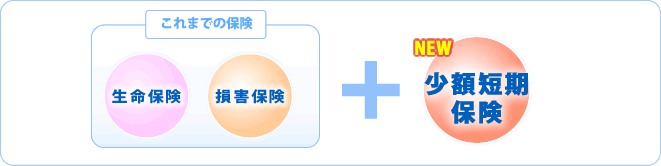 少額短期保険とは